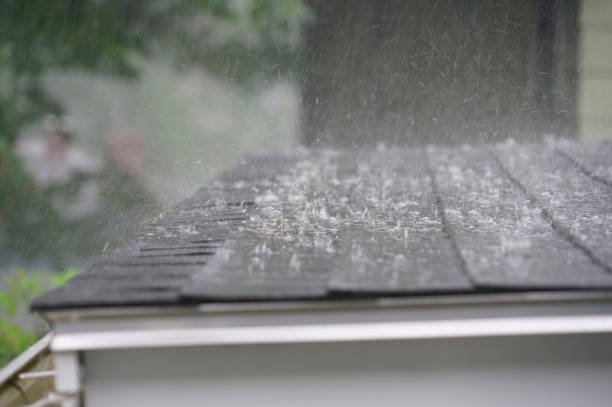 Best Cold Roofs  in Trafford, PA